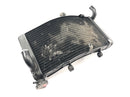 Honda CBR 900 RR Fireblade SC33 [2000] - Radiator vannkjøler kjøler radiator-4