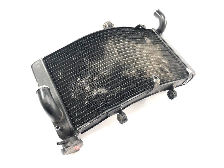 Honda CBR 900 RR Fireblade SC33 [2000] - Radiator vannkjøler kjøler radiator