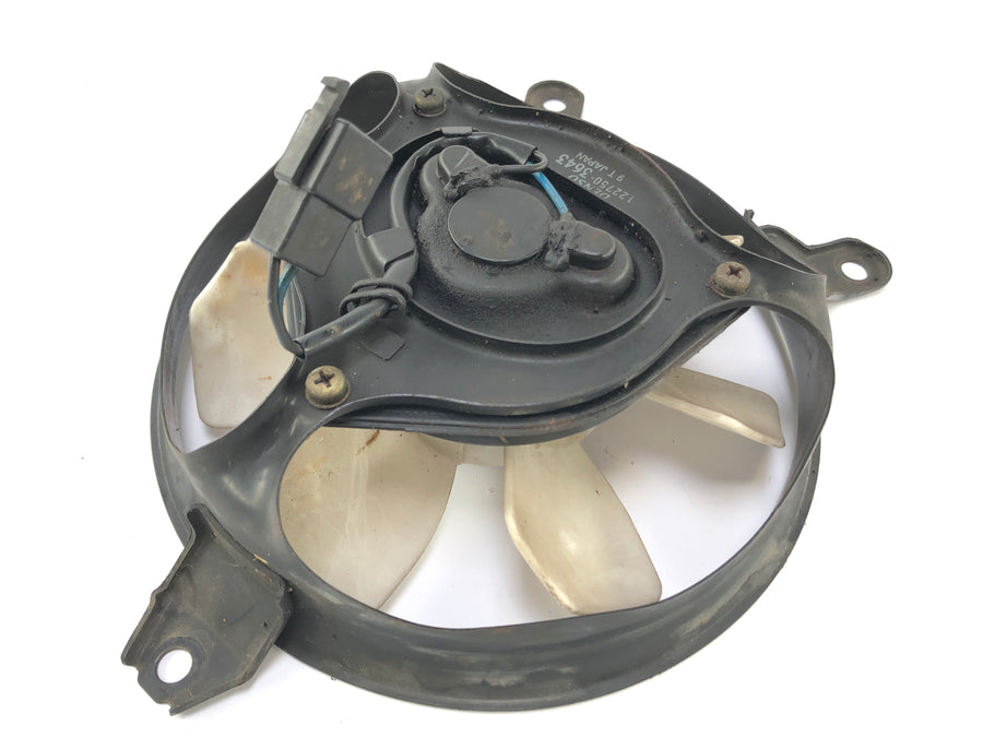 Triumph Daytona 955i T595 [1999] - Cooler Fan Fan Fan Fan