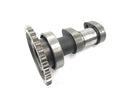 Suzuki RM Z 250 RJ41A [2007] - Kamaksel inntakskamaksel-2