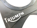 Triumph Daytona 955i T595 [1999] - Bremseankers ankerplate-2
