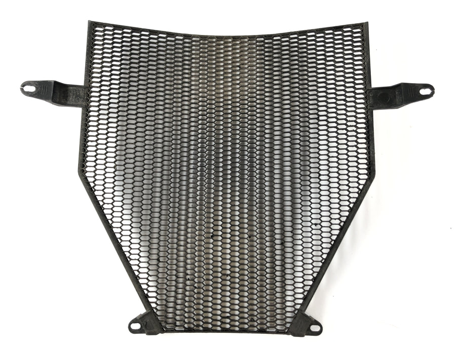 BMW K 1300 S K12S [2010] - Real Grille Protective Grille