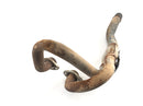 Honda XR 600 R PE04 [1993] - MANIFOLD EXSICE-3