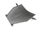 BMW K 1200 S K12S [2005] - Radiatorgrill, frontgrill, plast-1