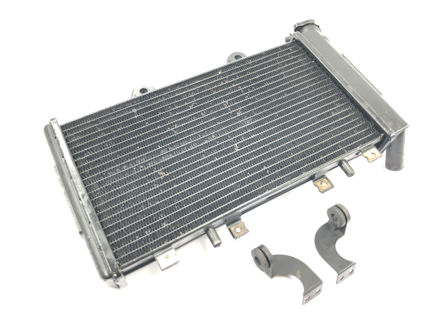 Triumph Daytona 1200 T300D [1994] - Radiator vannkjøler kjølesystem radiatornettverk