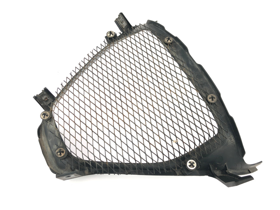 Suzuki GSX R 1000 WVBZ K3 [2003] - Luftgitter, radiatorgrill, frontgitter