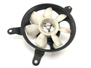 Triumph Daytona 955i T595 [1999] - Cooler Fan Fan Fan Fan-1