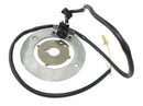 Yamaha XJR 1300 RP06 [2002] - Kontrollplate for pickup dynamo stator plate-4
