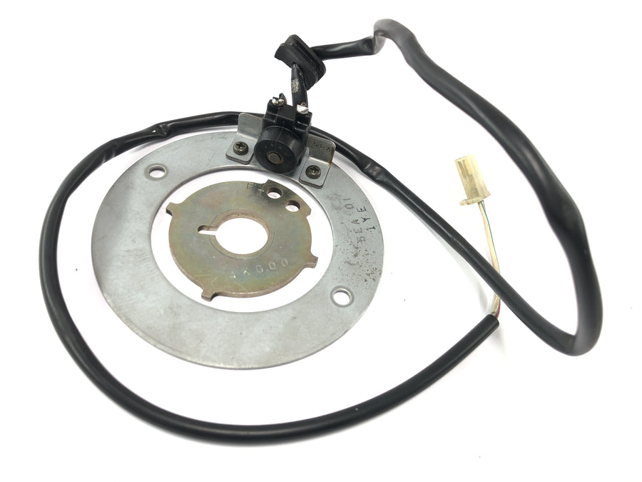 Yamaha XJR 1300 RP06 [2002] - Kontrollplate for pickup dynamo stator plate