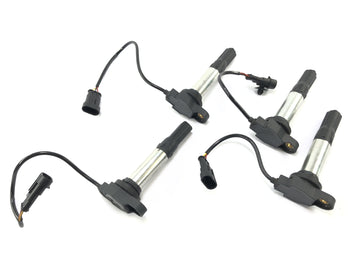Aprilia RSV4 1000 [2010] - Ignition Coil med pluggsett - 0