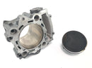 Yamaha MT 03 RM02 [2007] - Sylinder med stempelsylinderenhet sylinderforingsstempel-1