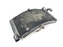 Honda CBR 900 RR Fireblade SC33 [2000] - Radiator vannkjøler kjøler radiator-5