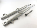 BMW R 1100 GS [1990] - Gabel Telelever med Axis-9
