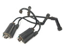 Honda CB 750 RC42 [1996] - Ignition Coil Set med tennpluggplugg-1