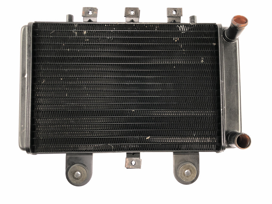 Triumph Thunderbird 900 T309RT [1995] - Radiator vannkjøler radiator kjølesystem