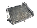Yamaha YZF R1 RN04 [2001] - Radiator vannkjøler nettverk-4