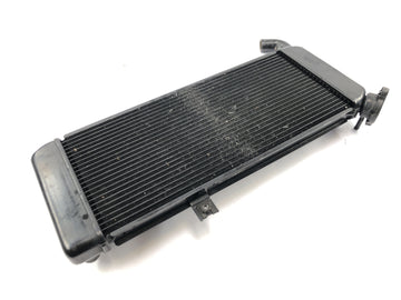 Kawasaki Versys KLE 650 A [2006] - Radiator vannkjøler kjølesystem radiator - 0