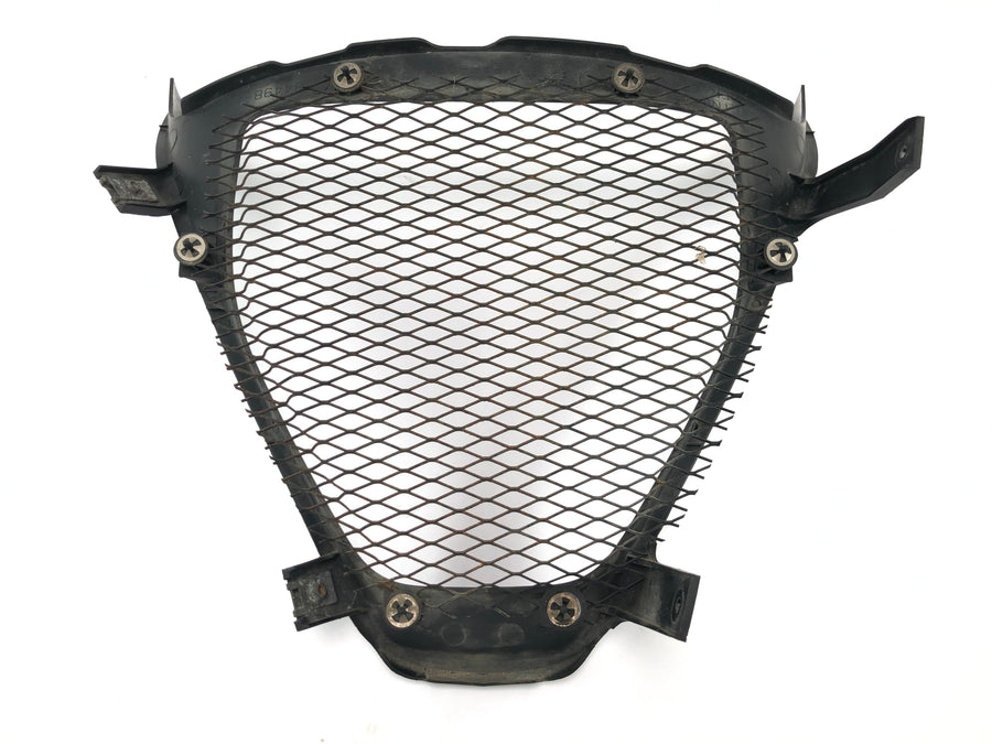 Suzuki GSX R 1000 WVBZ K3 [2003] - Luftgitter, radiatorgrill, frontgitter
