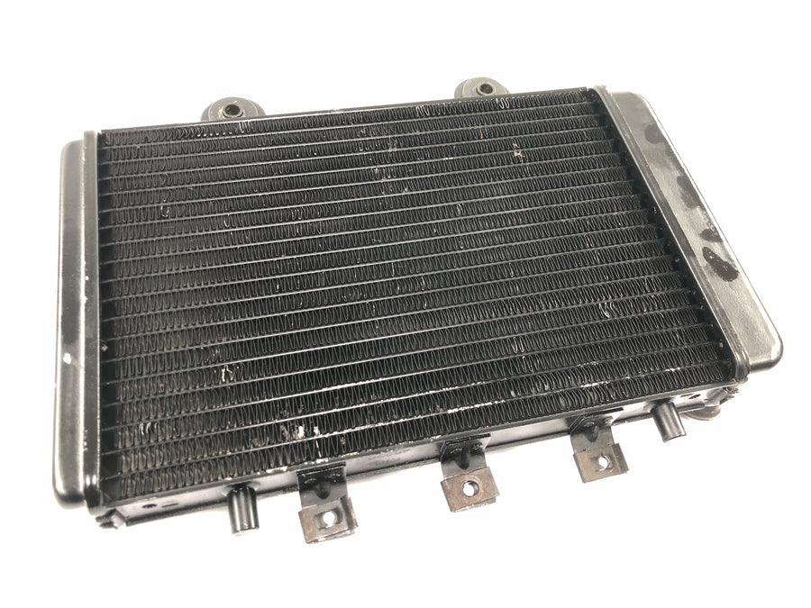 Triumph Thunderbird 900 T309RT [1995] - Radiator vannkjøler radiator kjølesystem