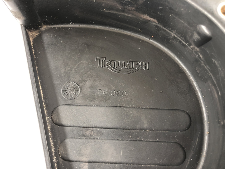 Triumph Speed ​​Triple 955i [1999] - Pineer Coverage