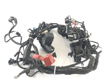 BMW R 1200 R [2007] - ledningsnett