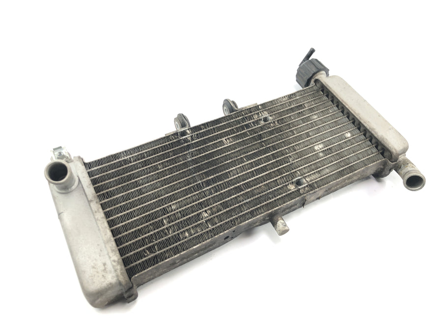 Aprilia RS 125 TW [2017] - Radiator vannkjøler kjølesystem radiatornettverk