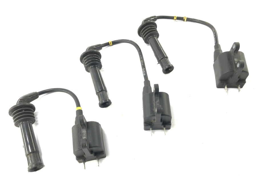 Triumph Thunderbird 900 T309RT [1996] - Ignition Coils med plugger