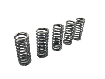 Suzuki RM Z 250 RJ41A [2007] - Clutchfjærsett clutchtrykkfjærer