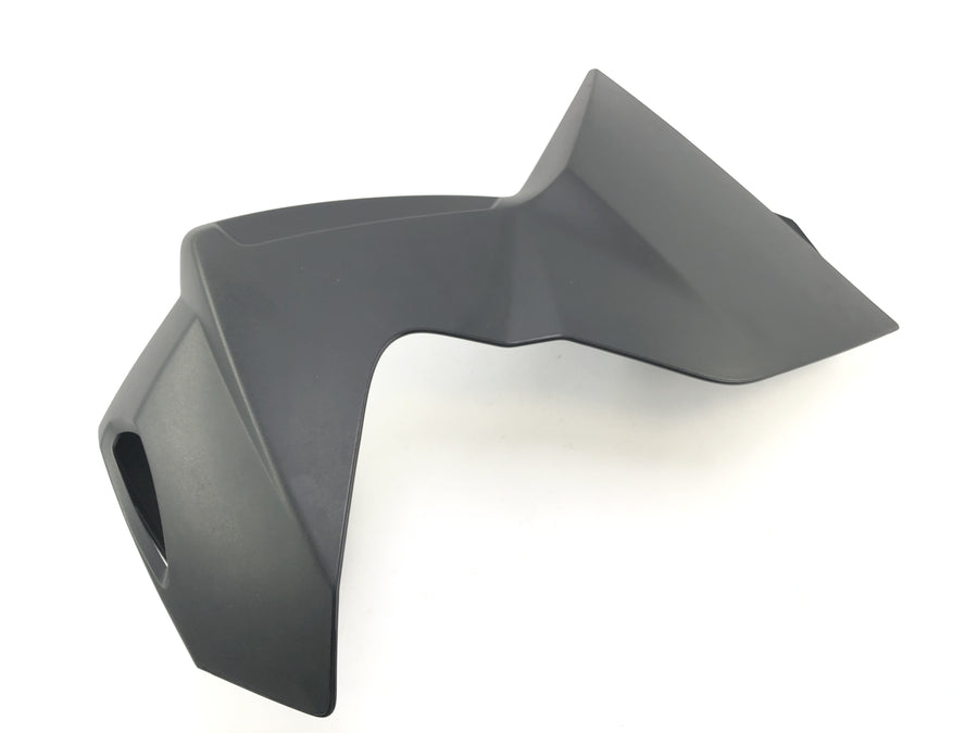 BMW K 1300 R K12s [2014] - Disguise Right