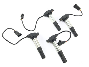 Aprilia RSV4 1000 [2010] - Ignition Coil med pluggsett