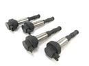 BMW K 1300 R K12S [2014] - Ignition Coil Set-1