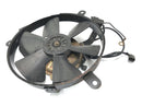 Honda CBR 900 RR SC28 [1994] - Cooler Fan Fan Fan Fan Fan Fan Fan Fan Fan-2