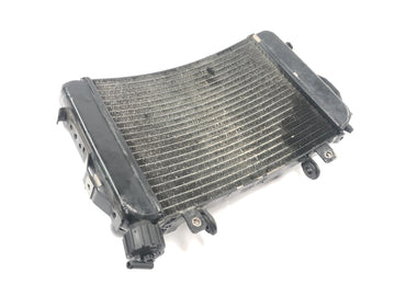 KTM Duke 690 A3 [2012] - Radiator vannkjøler kjølesystem radiator foran - 0