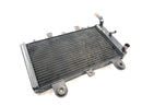 Triumph Tiger 955i 709EN [2003] - Radiator vannkjøler kjølesystem-2