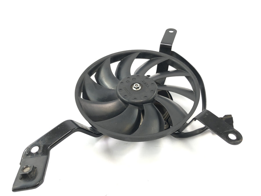 Triumph Street Triple R 675 D67LD [2010] - Kjølervifte motorvifter Fan Radiator Blower
