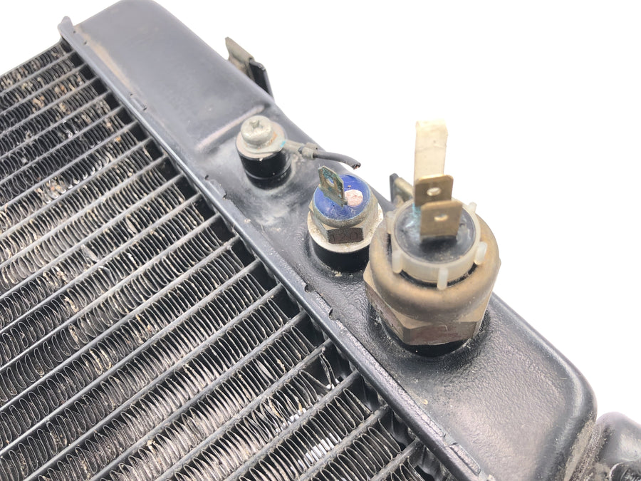 Yamaha GTS 1000 4FV [1997] - Radiator vannkjøler med temperatursensorer
