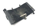 Honda CBR 900 RR Fireblade SC33 [2000] - Radiator vannkjøler kjøler radiator-3