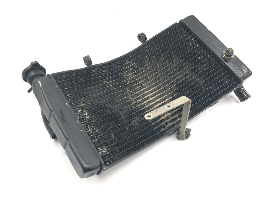 Honda CBR 900 RR Fireblade SC33 [2000] - Radiator vannkjøler kjøler radiator