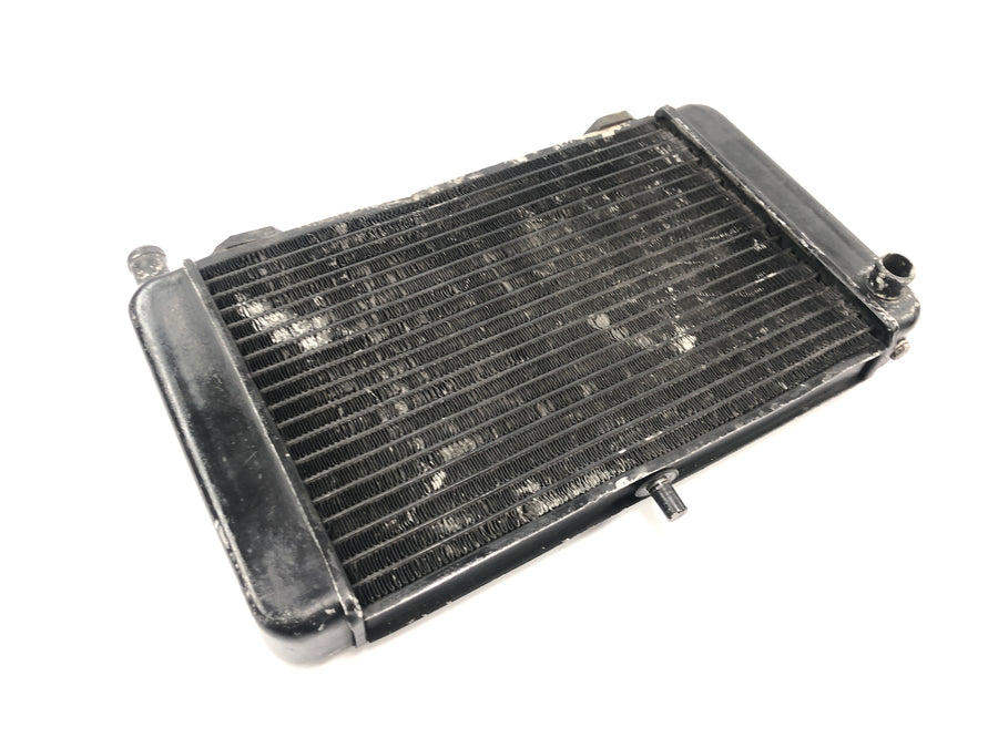 Aprilia RS 125 Extrema [1994] - Radiator vannkjøler radiator kjølesystem