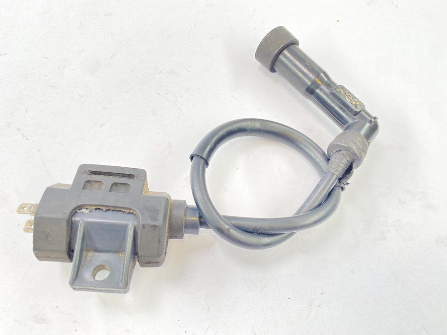Yamaha XT 600 Z Ténéré 1VJ [1986] - Ignition Coil Ignition Module med plugg