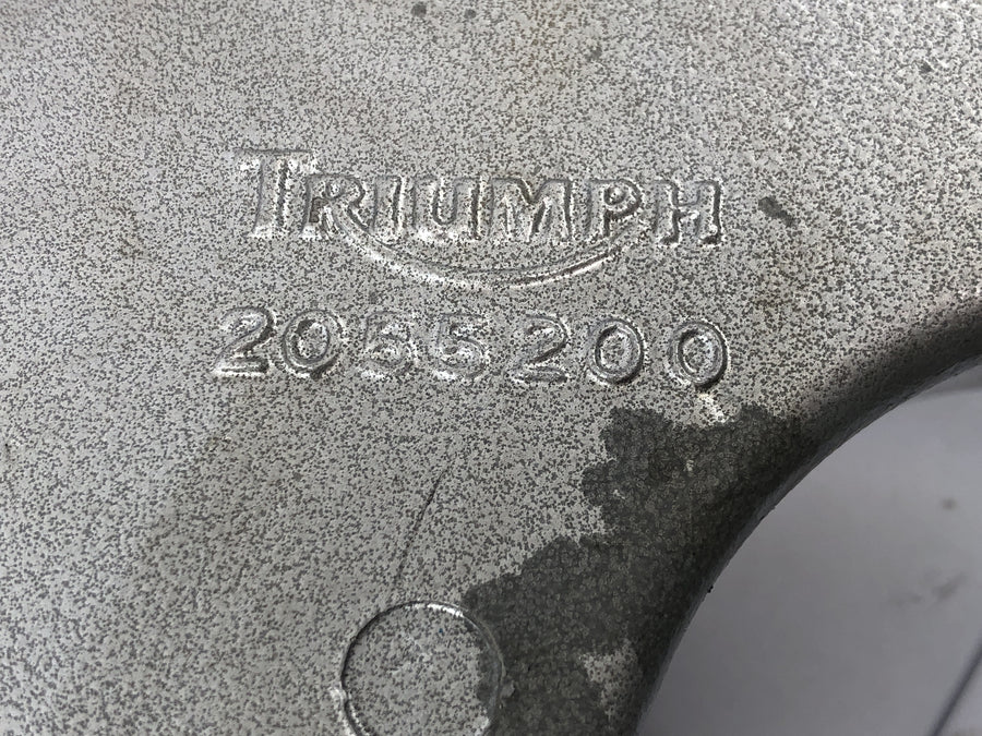 Triumph Speed ​​​​Triple T509 [1998] - Bakre svingarm