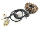 Yamaha XT 660 DM01 [2004] - Stator med pickup -generator-4
