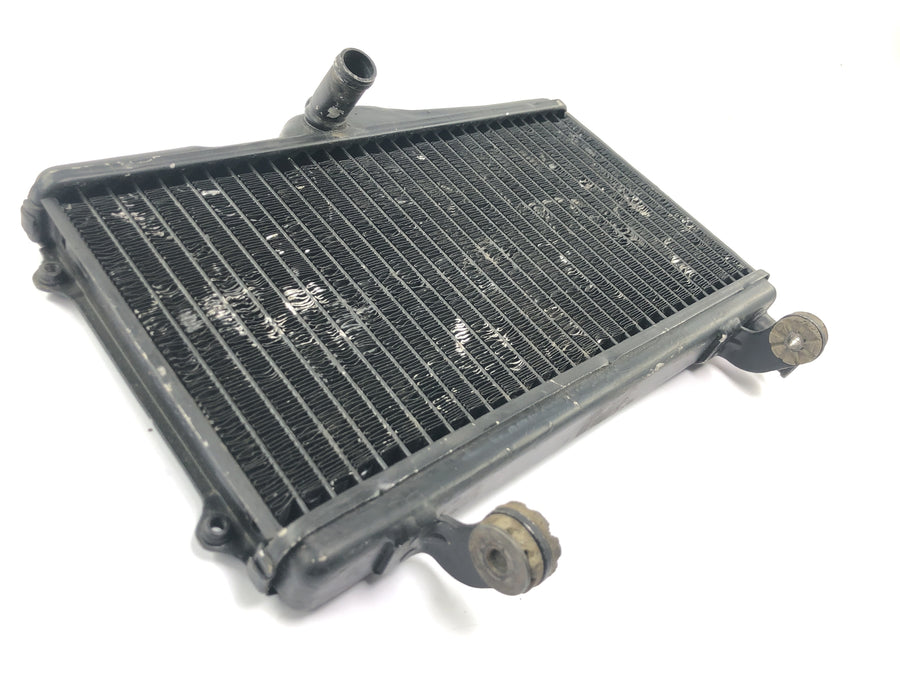 Honda NSR 125 JC20 [1991] - Radiator vannkjøler radiator nettverk kjøle radiator