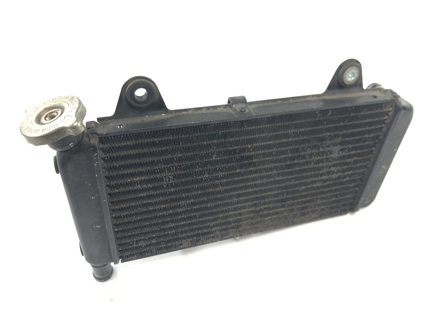 Yamaha MT 03 RM02 [2007] - Radiator vannkjøler motorkjøler kjølesystem radiator