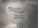 Triumph Speed ​​​​Triple T509 [1998] - Førersete benksete-3