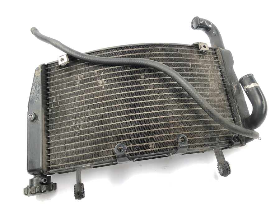 Ducati 999 H4 [2003] - kjølig vannkjøler radiator