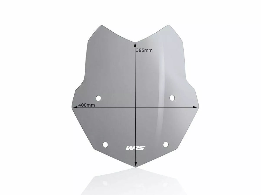 BMW R 1200 R [WRS] - frontrute