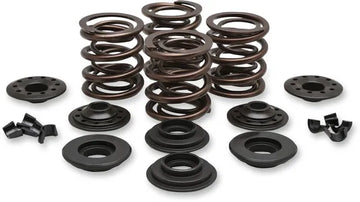 Harley Davidson Flfb [KIBBLEWHITE] - OEM erstatningsventilfjærsett