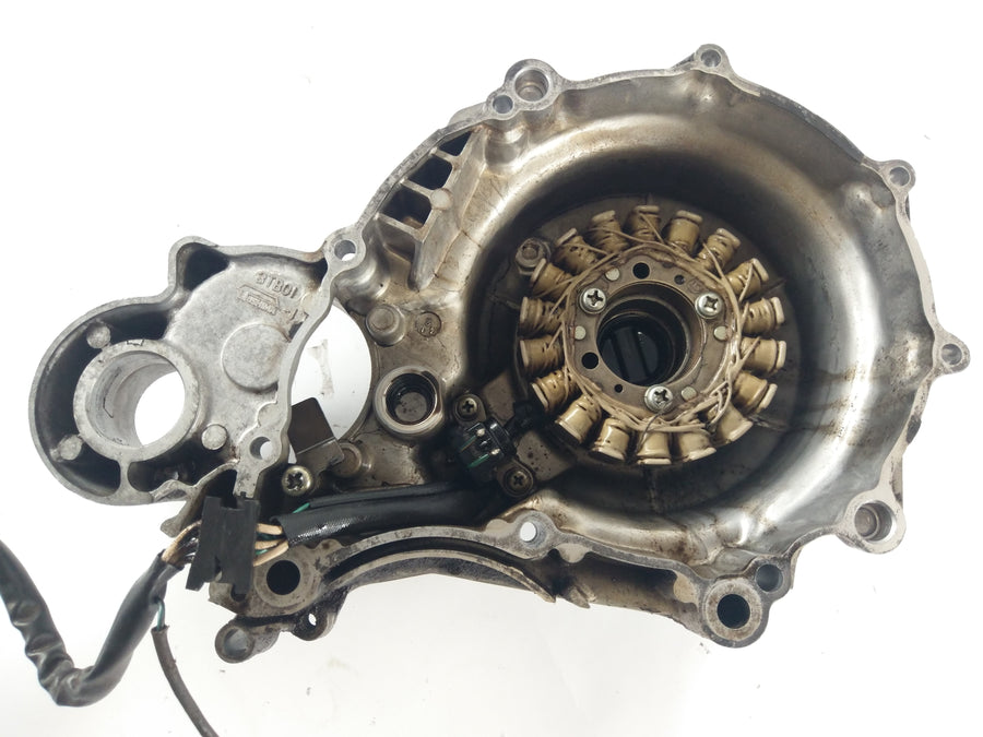 Yamaha XTZ 660 Tenere 3YF [1993] - Lys maskindeksel med en stator