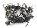 Moto Guzzi Norge 1200 LP [2006] - Kablingssele-1